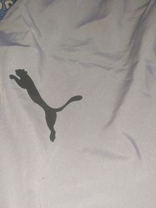 Fully New Puna Shorts