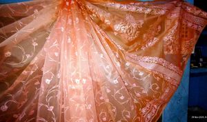 Elegant Peach Saree rubber print