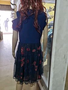 Brand New Dress. Chiffon And Net Material.