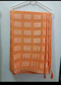 Organza Saree