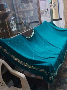 Teal Embellished Saree
