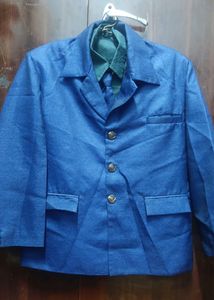 blue colour shiny coat