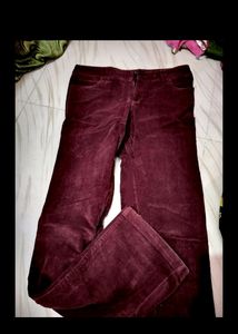 Trouser Pant