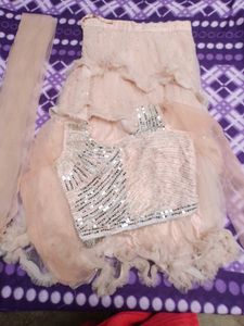 Peach Elegant  Lehenga Choli Set with dupatta