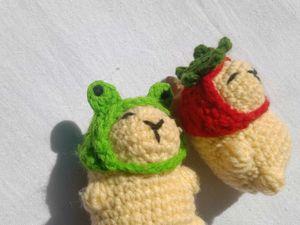 Capibara Frog and strawberry Hat🍓Combo