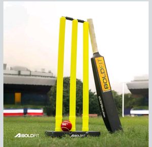 Boldfit Master Blaster Cricket Bat