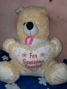 Teddy Bear