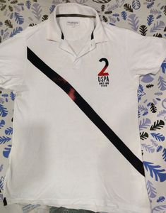 Regular Fit Brand  Print Polo Tshirt With Contrast