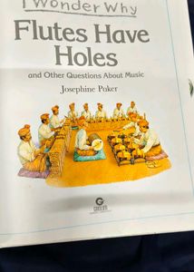 Flutes Have Holes/ I Wonder Why Children Book 📚