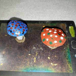 Mashroom Showpeace.