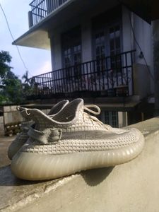 Adidas Yeazy Shoe 👟