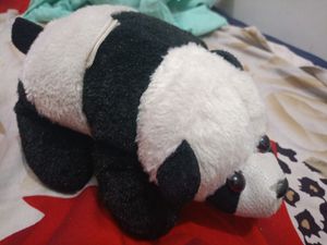 Cute Panda Softoy