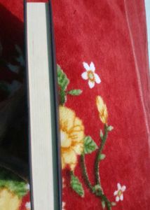 The Girl On Train ( Hardcover )