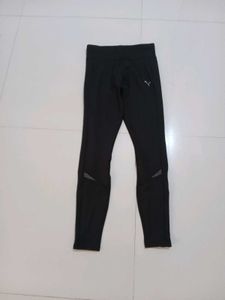 Puma tight
