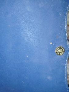 Blue Shoulder Bag