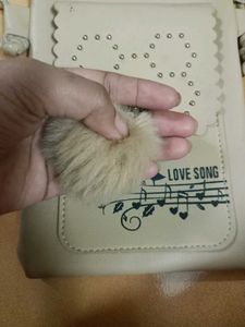 Combo Of 2 Bags
