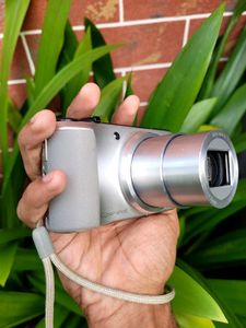 Sony Cybershot DSC-HX10v Digital Camera