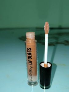 Swiss Beauty Plump &amp; Shine LIP GLOSS