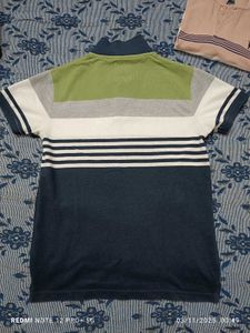 Flick Striped Polo T Shirt (💚 🤍 💙)