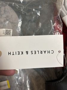 Charles &amp; Keith Bag