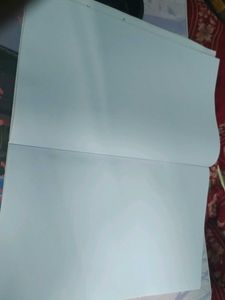 White Rose Long Book