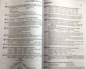 NCERT Exemplar Class X Science