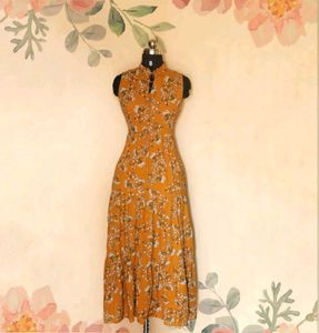 Tokyo Talkies A-Line Multi Color Dress