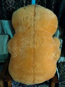 Teddy Bear 🐨