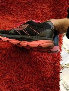 SKETCHERS SHOES UK5