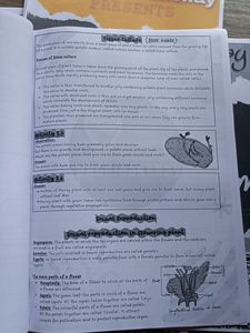 CBSE Padhle Akshay Biology Notes(Class-10)