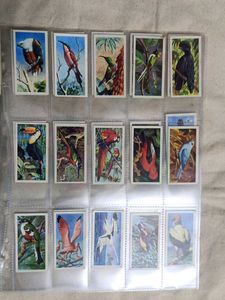 Cigrette Cards Pack Of 50