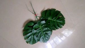 6 Monstera Fake Leaves