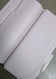 Rough Pages ( 300-400 )
