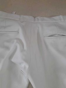 Pant