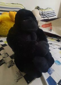 CUTE GORILLA