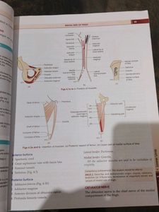 Human Anatomy Vol 2 and vo