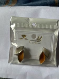 Brand New Earrings