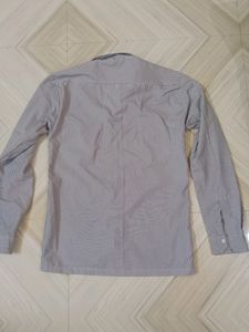 Mens Shirt