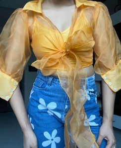 Orange Orgenza Mesh Top With That Inner