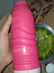 Vidaplast Pink Water Bottle Milton From Inside