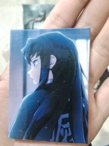 Demon Slayer Printed Plate
