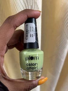 Plum Color Affair Nail Polish