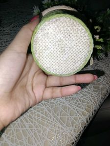 Artificial Plant Decor