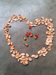 Pistachios Shells 110 Pieces
