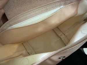 Longchamp XS Bag in Peach/Petal Pink 🍑