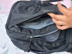 American Tourister Black Backpack