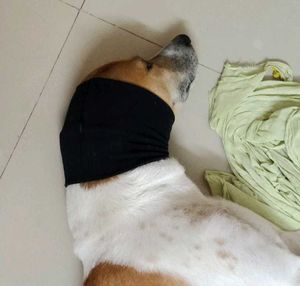 Anti-Anxiety Muff - Snood