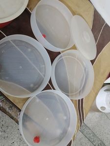 4 Layer Sprouts Makers