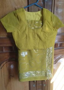 Elegant Embellished Saree