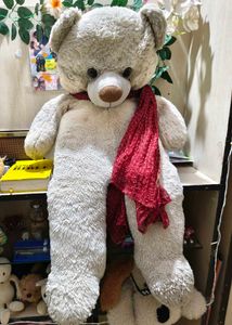 Giant Teddy Bear 3.5 Feet Fixed Price+ Freebie